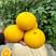 福建平和县甜心桔柚一手货源充足全国各地市场发货供应