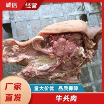 焦作牛头肉工厂直销全熟去油去淋巴干货精品牛脸