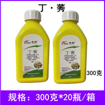 丢锄42%丁莠夏玉米田一年生杂草苗前封闭除草剂农药除草剂