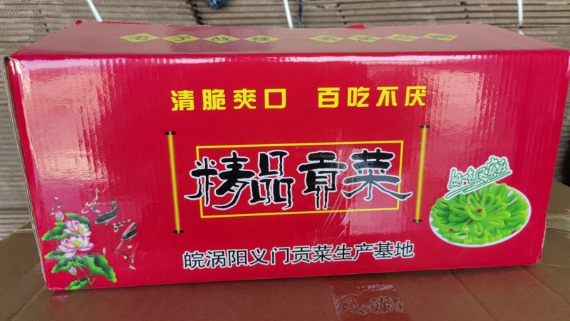 【精品】一级贡菜产地直发大量现货价格包你满意来电洽谈代加工