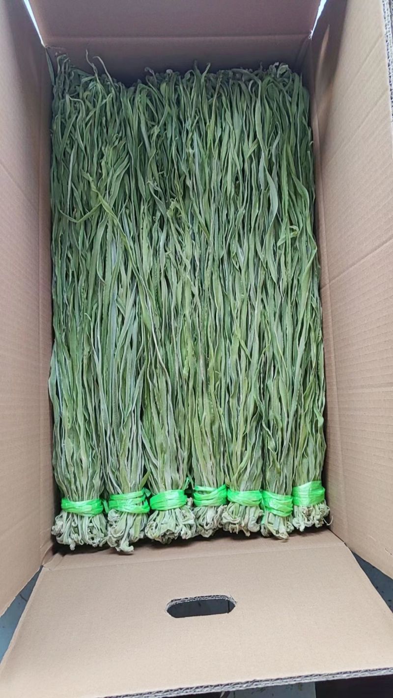 【精品】一级贡菜产地直发大量现货价格包你满意来电洽谈代加工