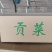 【精品】一级贡菜产地直发大量现货价格包你满意来电洽谈代加工