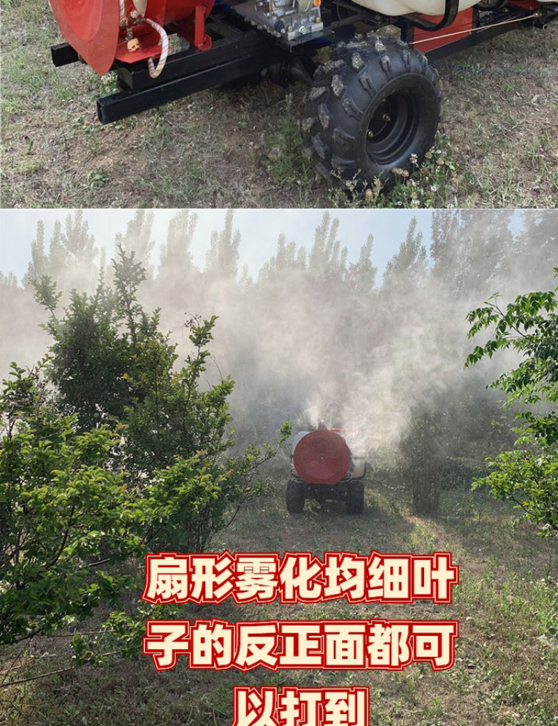 双动力风送打药机果树喷药车自走式果园打药机
