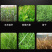 碎草机果园荒草割草机自走式碎草还田机锄草机