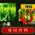 含氨基酸水溶肥绿叶靓果防裂果黄叶小叶落叶壮棵促根