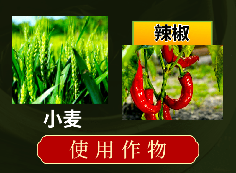 含氨基酸水溶肥绿叶靓果防裂果黄叶小叶落叶壮棵促根