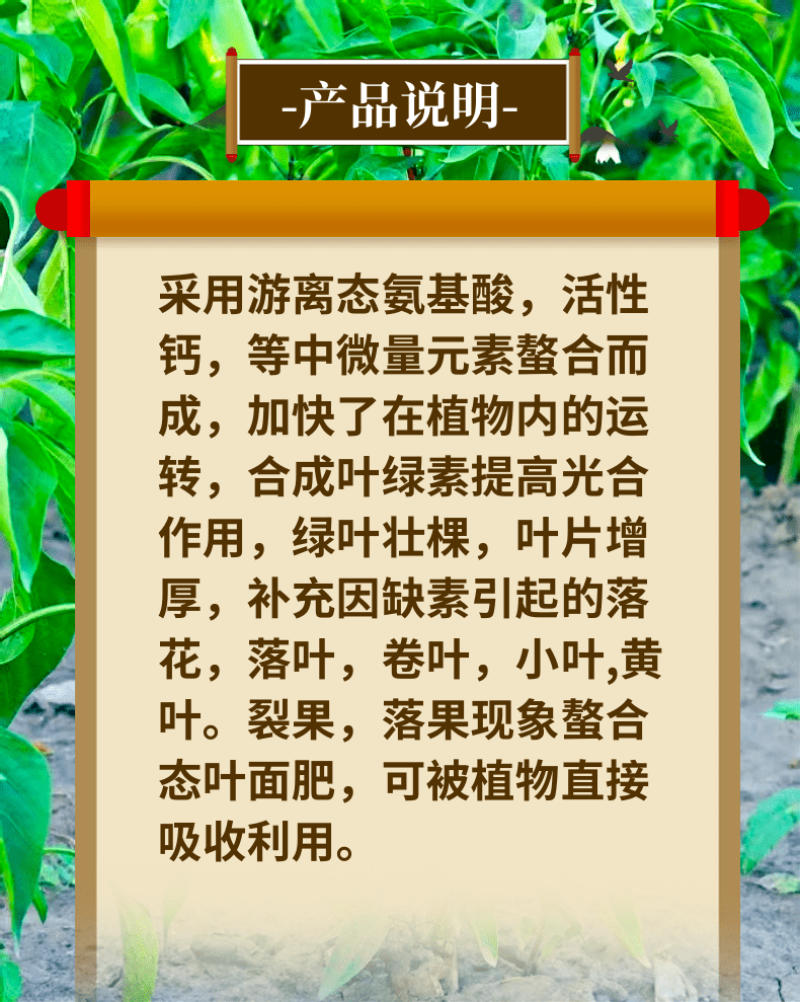 含氨基酸水溶肥绿叶靓果防裂果黄叶小叶落叶壮棵促根