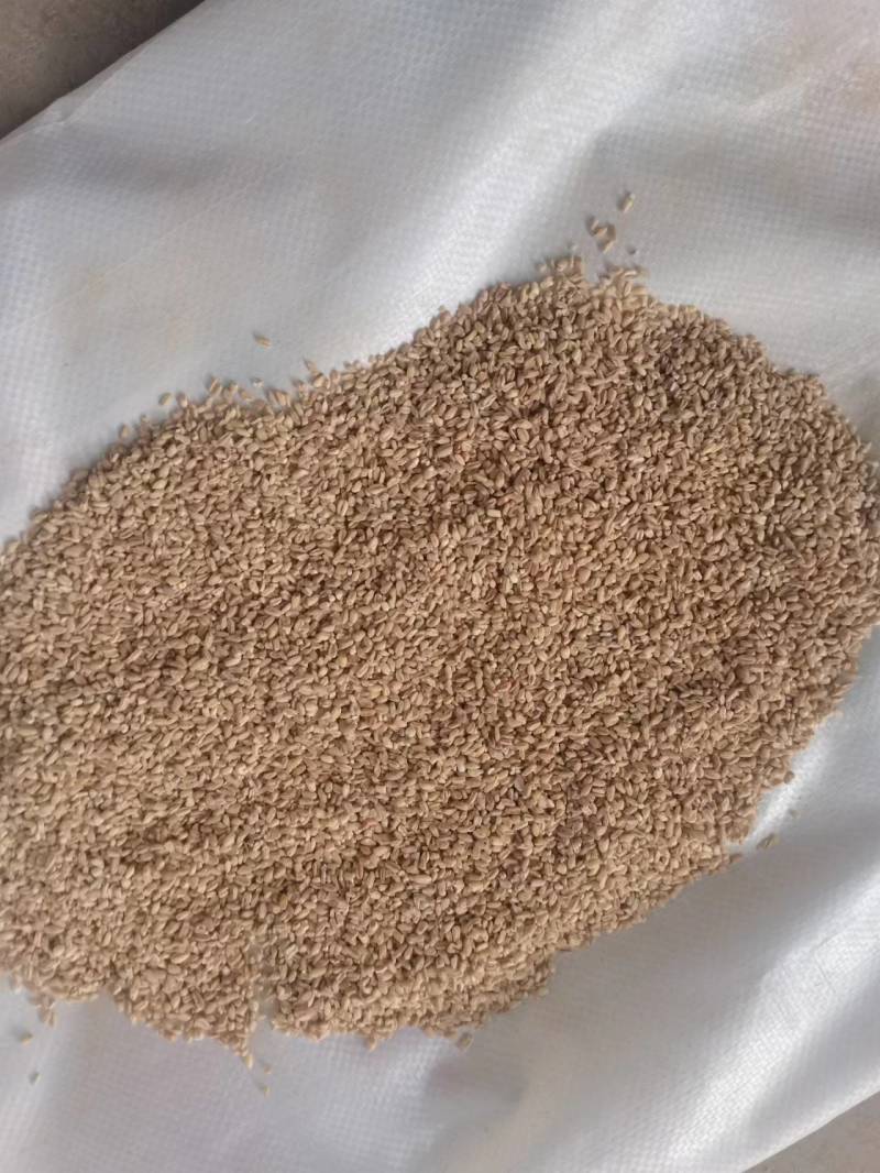 【碎麦仁】物美价廉，优质货源，诚信商家，咨询有惊喜