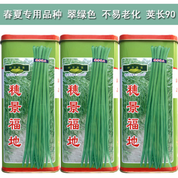 豇豆种子长豆角种籽翠绿不易老化穗景福地顺直春夏秋基地品种
