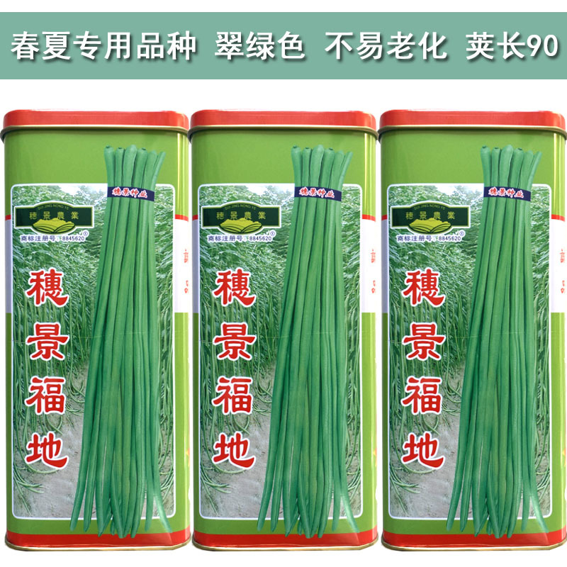 豇豆种子长豆角种籽翠绿不易老化穗景福地顺直春夏秋基地品种
