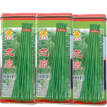 长豆角种子翠绿色不鼓籽基地品种龙泉001春夏秋兼用