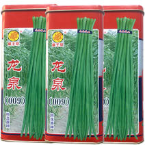 翠绿长豆角种子龙泉009豇豆脆绿色春夏秋植可做脱水蔬菜