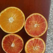 重庆本地血橙，一手货源，品质保证，欢迎来电