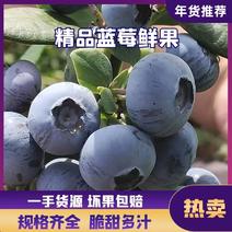 云南精品L25蓝莓，基地直发一手货源批发现摘现发品质保证