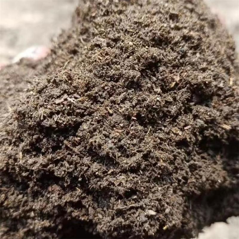 高温发酵鸡粪土地改良用肥鸡粪肥