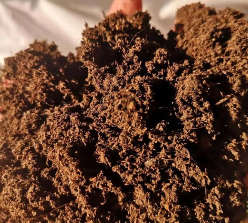 发酵鹌鹑粪有机质蔬菜有机果果树用鹌鹑粪瓜果蔬菜用