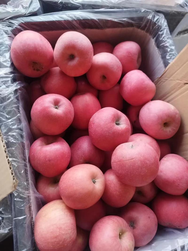 红富士苹果精品礼盒十斤装规格齐全支持代发全国