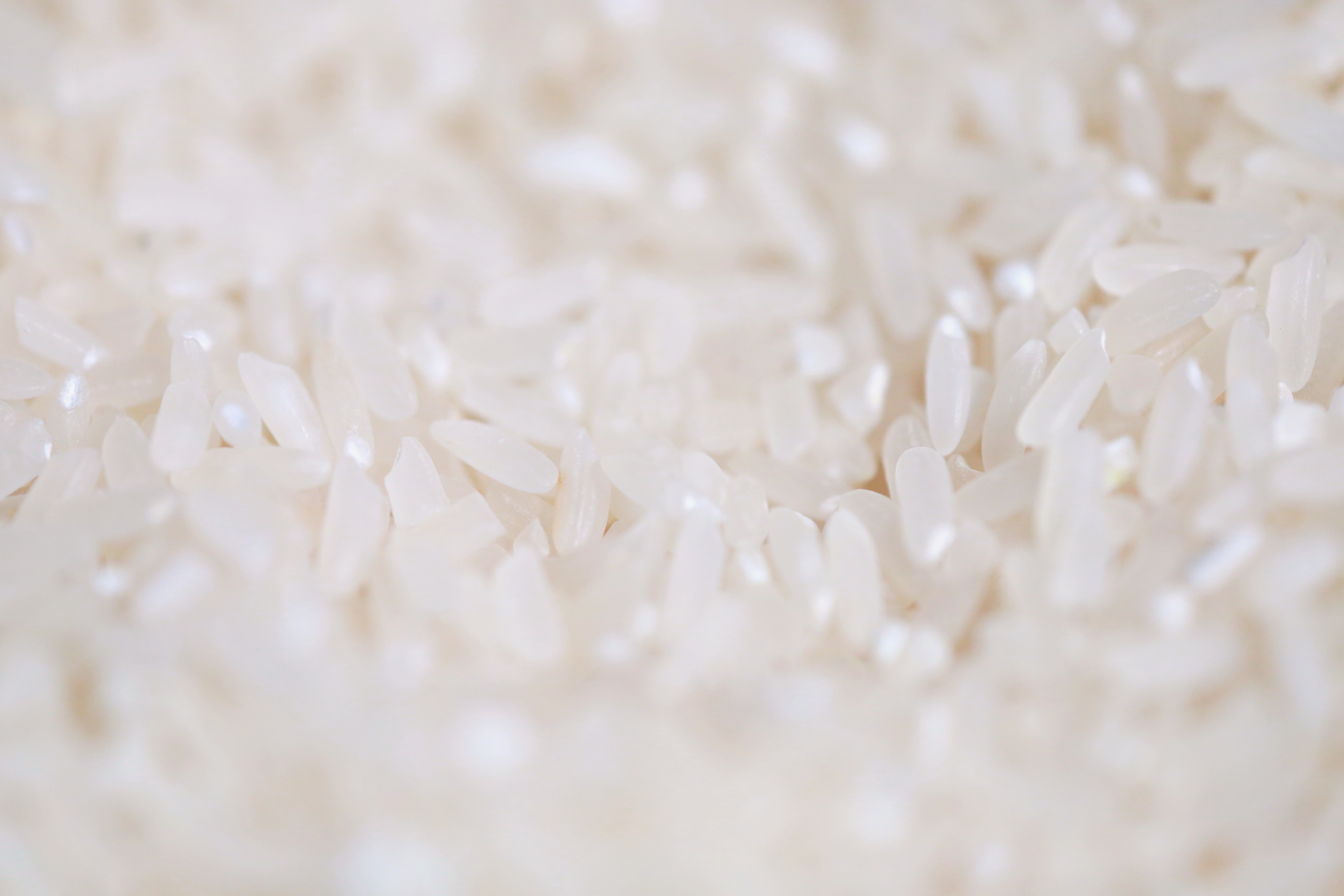 茉莉香米的外观特写