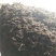 发酵兔粪兔子粪养花肥料菜肥花肥基肥粪蔬菜用