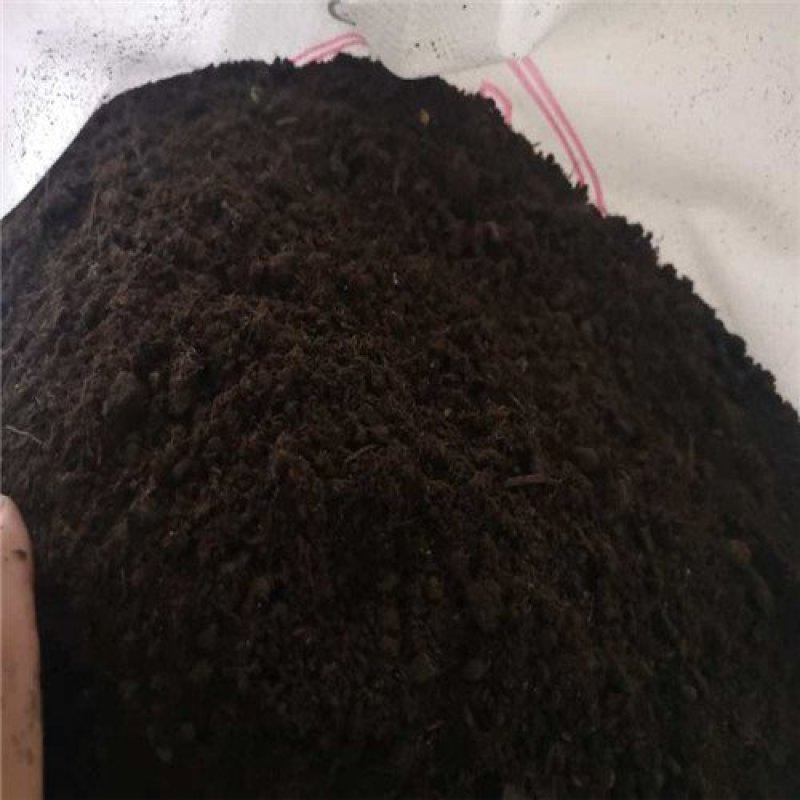 发酵兔粪农业种植提供丰富营养促进植物生长