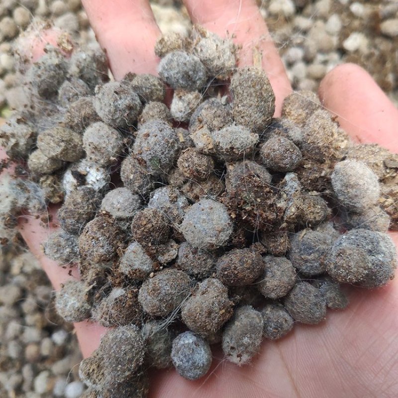 发酵兔粪农业种植提供丰富营养促进植物生长