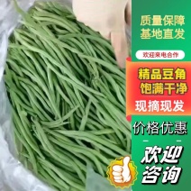 云南豆角无筋豆角扁豆青豆诚信经营代发全国欢迎来电！！