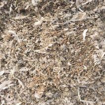 干鸽子粪自然晾晒肥效好白鸽粪有机肥无土气干净长期供应