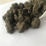 干鸡粪块土壤改良花卉蔬菜果树用原产地发货