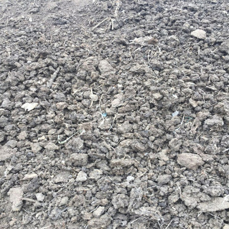 干鸡粪块土壤改良花卉蔬菜果树用原产地发货