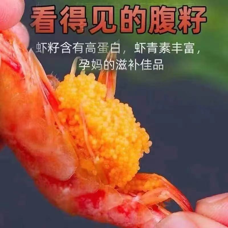 北极甜虾腹籽净重3斤/盒