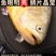 东海大黄鱼