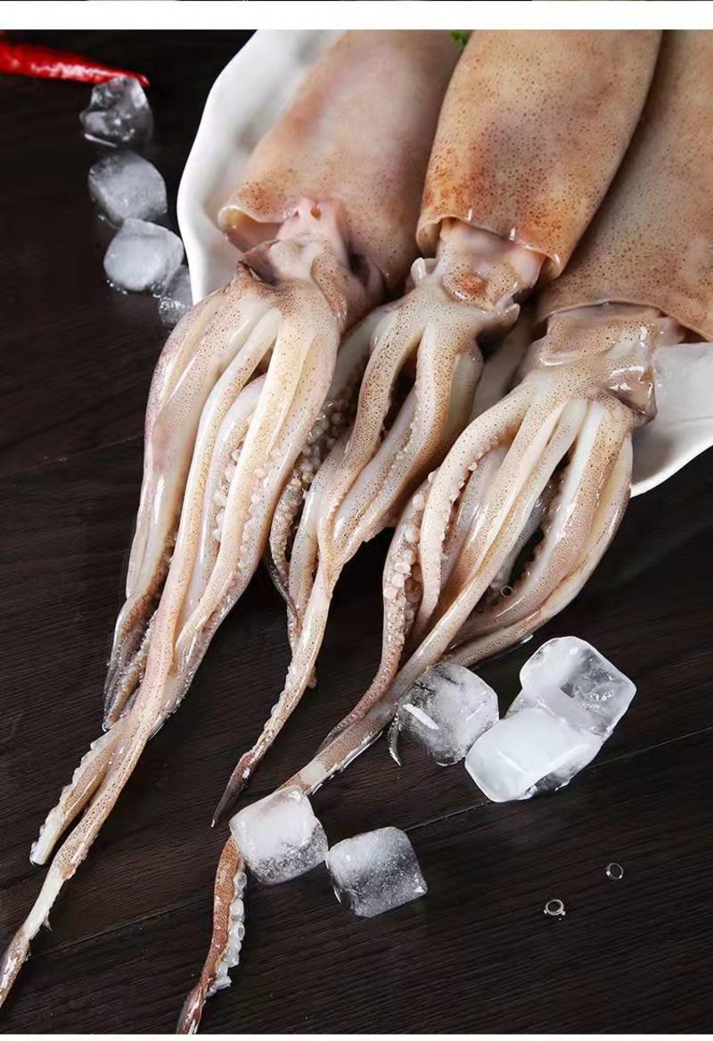 整只冷冻新鲜大鱿鱼商用鱿鱼须鱿鱼头八爪鱼章鱼铁板烧烤火锅