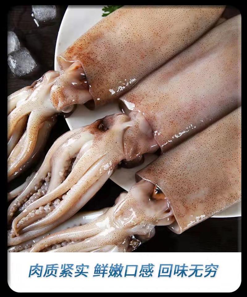 整只冷冻新鲜大鱿鱼商用鱿鱼须鱿鱼头八爪鱼章鱼铁板烧烤火锅
