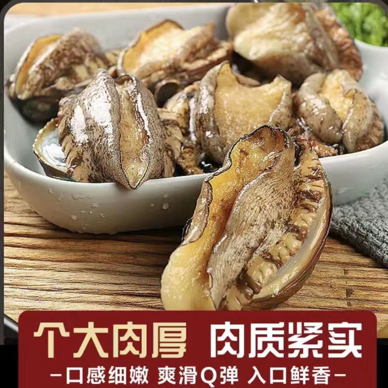 大号单冻鲍鱼现货批发