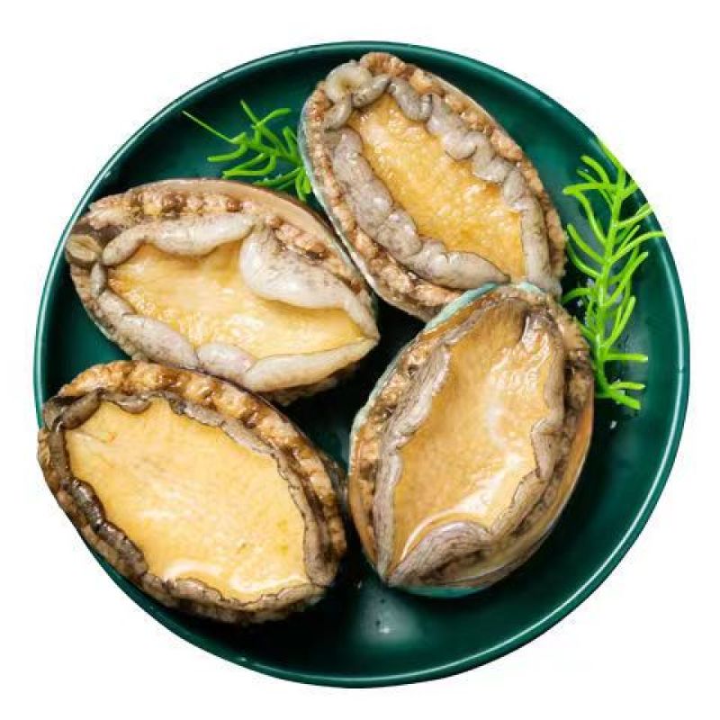 大号单冻鲍鱼现货批发