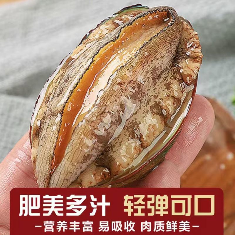 大号单冻鲍鱼现货批发