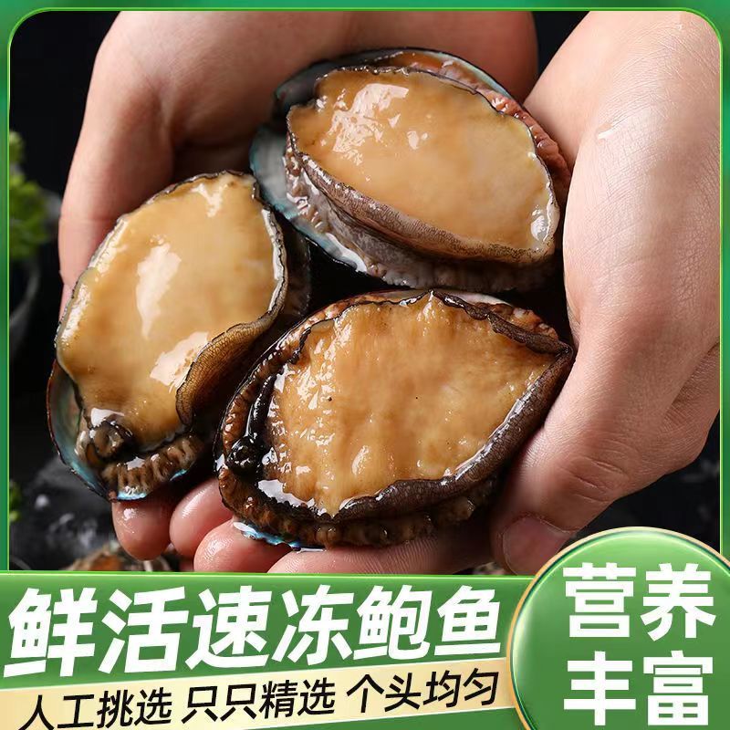大号单冻鲍鱼现货批发