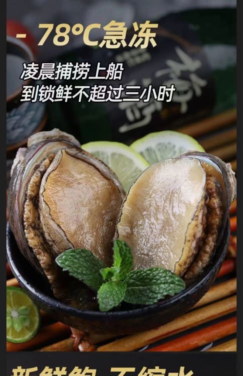 大号单冻鲍鱼现货批发