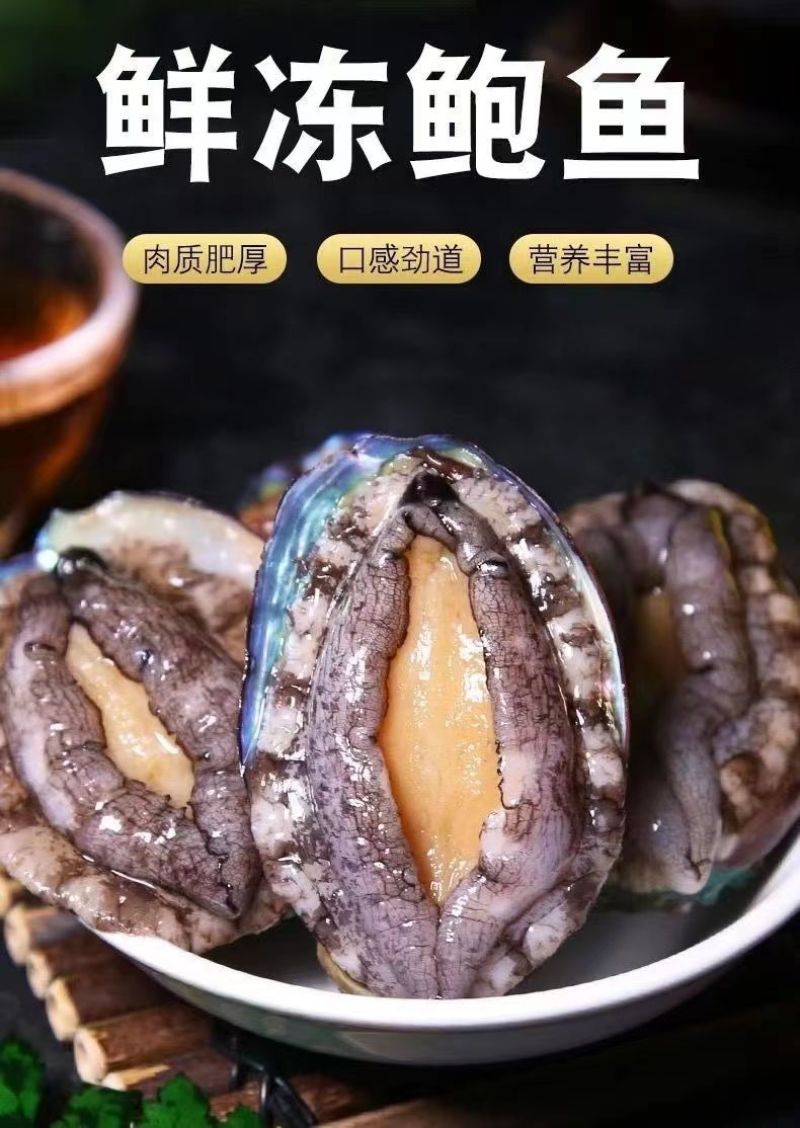 大号单冻鲍鱼现货批发