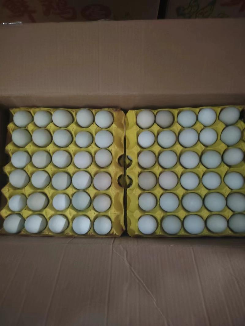 湖北武汉精品绿壳鸡蛋大量供应自己的养殖场新鲜发货营养丰富