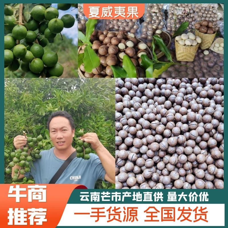 云南夏威夷果坚果全国发货产地自销欢迎电话咨询