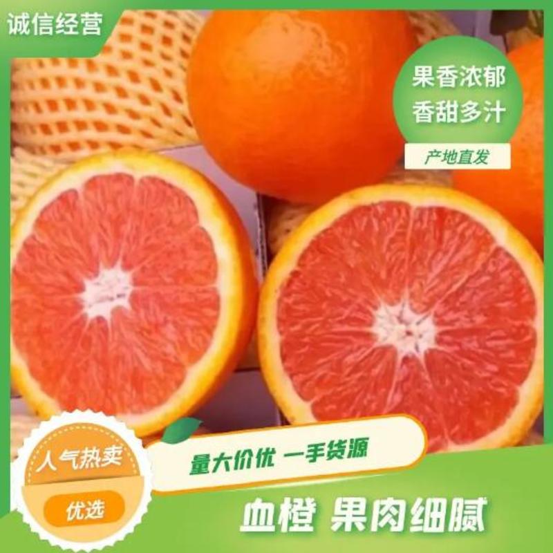 湖南血橙现摘现发品质保障皮薄肉大甜蜜多汁欢迎咨询