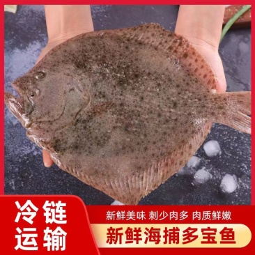 产地直发无冰多宝鱼比目鱼
