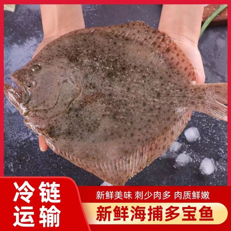 产地直发无冰多宝鱼比目鱼
