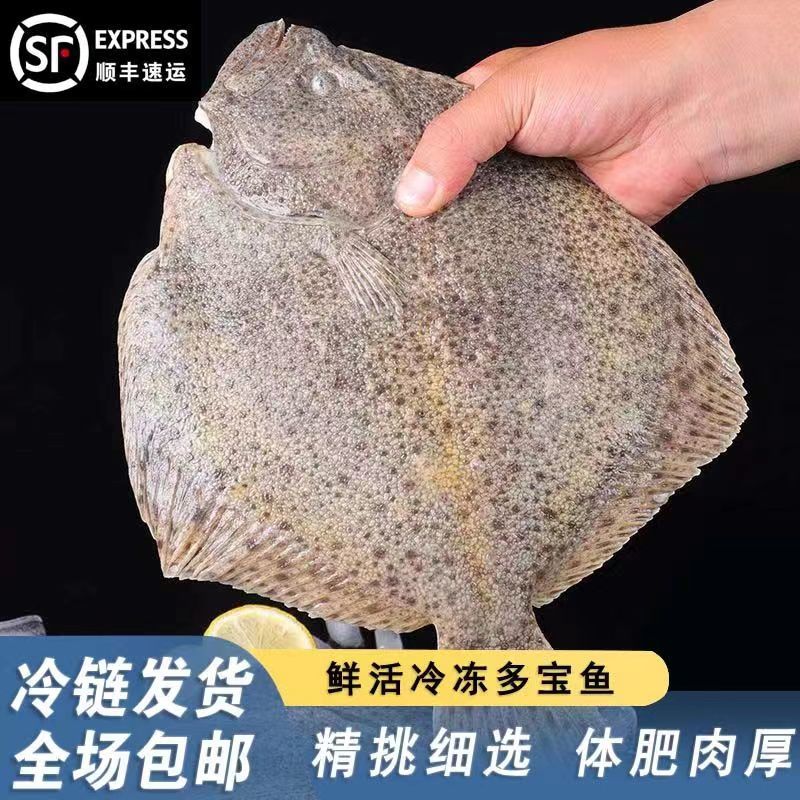 产地直发无冰多宝鱼比目鱼