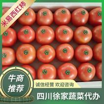 四川西红柿弧三以上对接批发商价优耐储存欢迎