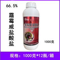 鑫星66.5%霜霉威盐酸盐甜椒疫病农药杀菌剂1000克