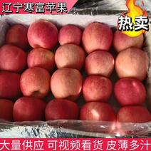 【苹果】辽宁寒富苹果大量供应可视频脆甜多汁