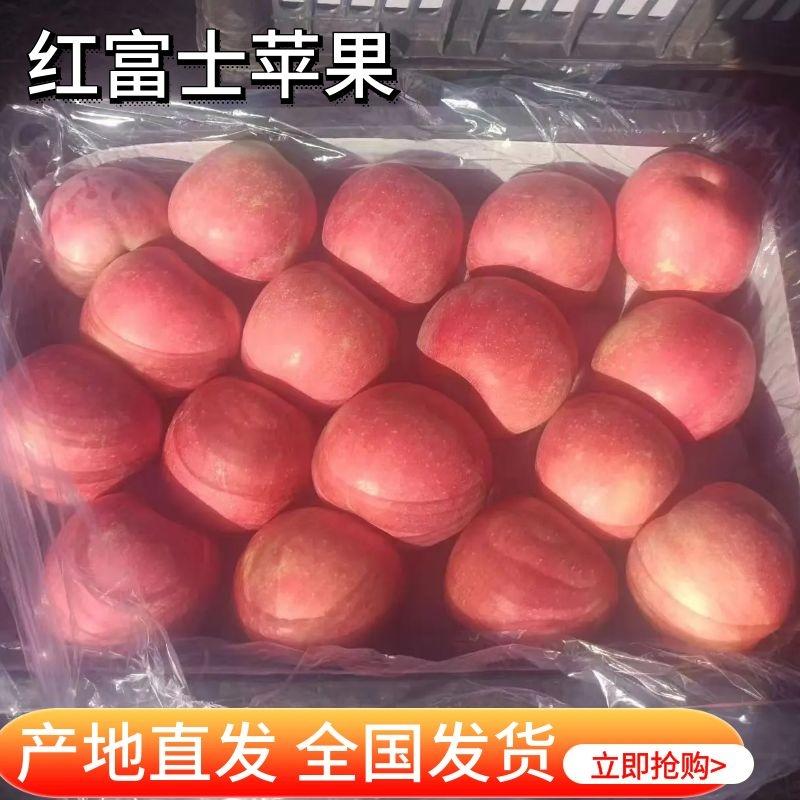 【红富士苹果】辽宁苹果大量供应对接各大市场电商商超