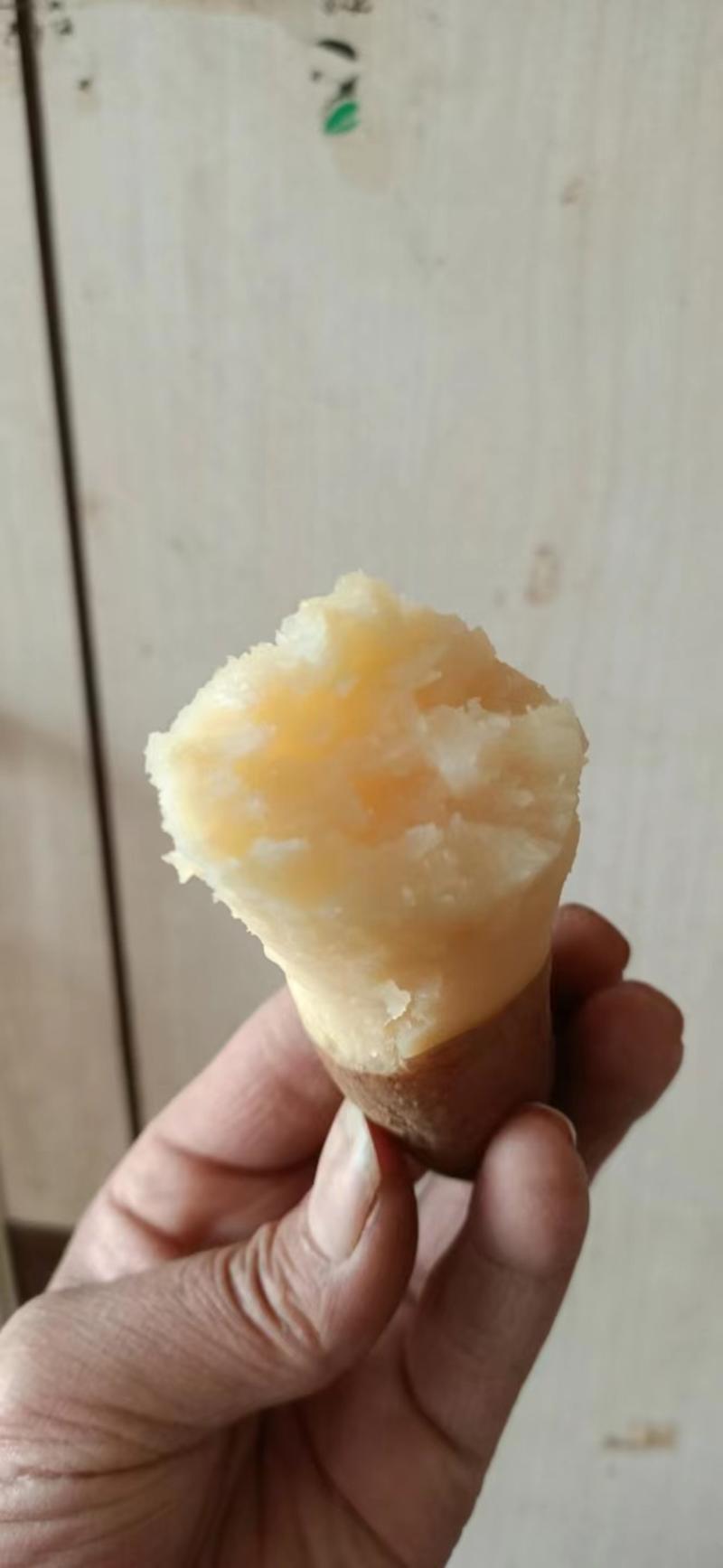 纯沙地冰糖心白哈蜜薯产地直发一手货源欢迎选购